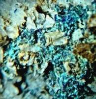 /album/galerie-photos/chalcantite-3-mod1-jpg/